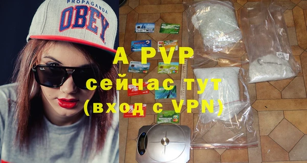прущие крисы Новодвинск