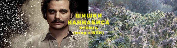 мет Алзамай